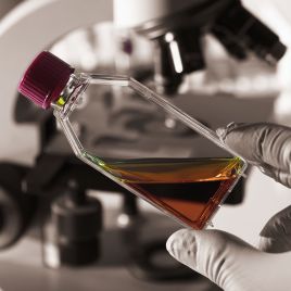 Fluid Services – Fluid Handling, Management & More